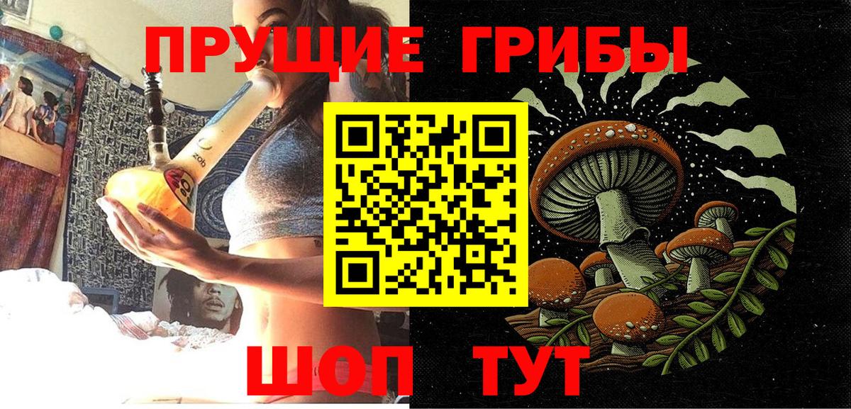 Псилоцибиновые грибы Psilocybe  Вход с VPN  Галлюциногенные грибы Psilocybine cubensis  Тихорецк 