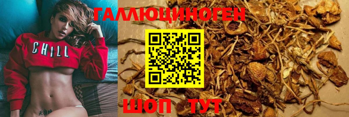 Псилоцибиновые грибы мухоморы Тихорецк